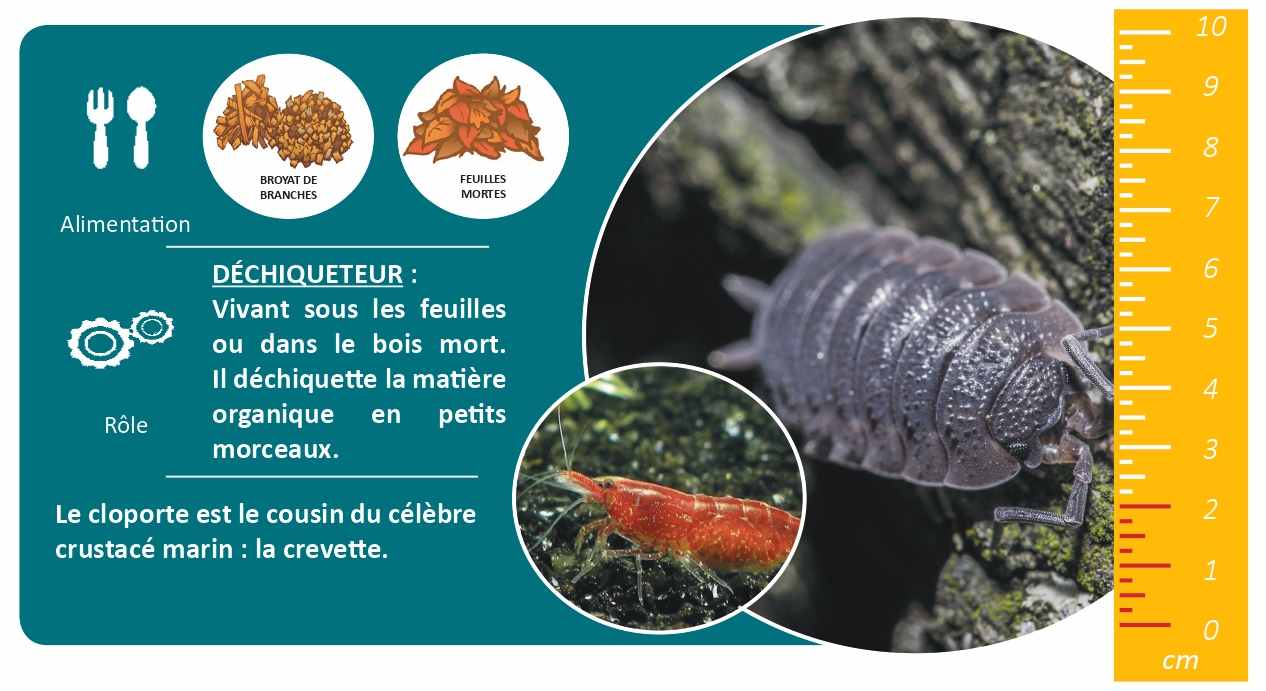 LE NOUVEAU CONSEIL D’ADMINISTRATION DE CAUSSES COMPOST !
